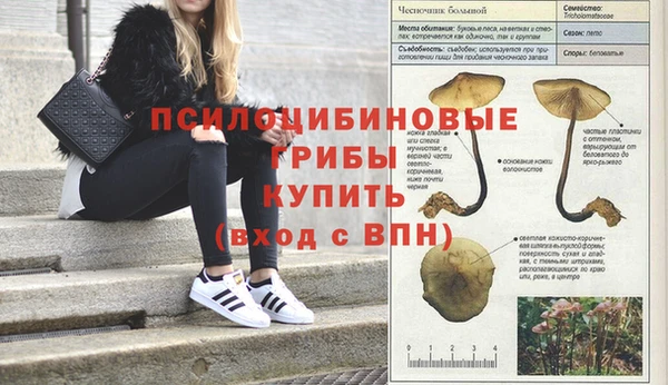 кокаин VHQ Аркадак
