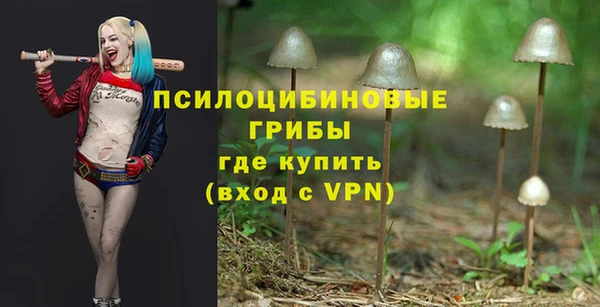 гидропоника Арсеньев